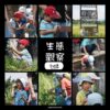 20230705卡稻農生態觀察-壓縮檔 (2)