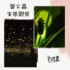20230410螢火蟲生態觀察