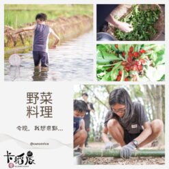宜蘭卡稻農野菜料理