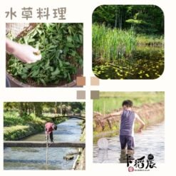 官網四季生態遊程海報 (5)