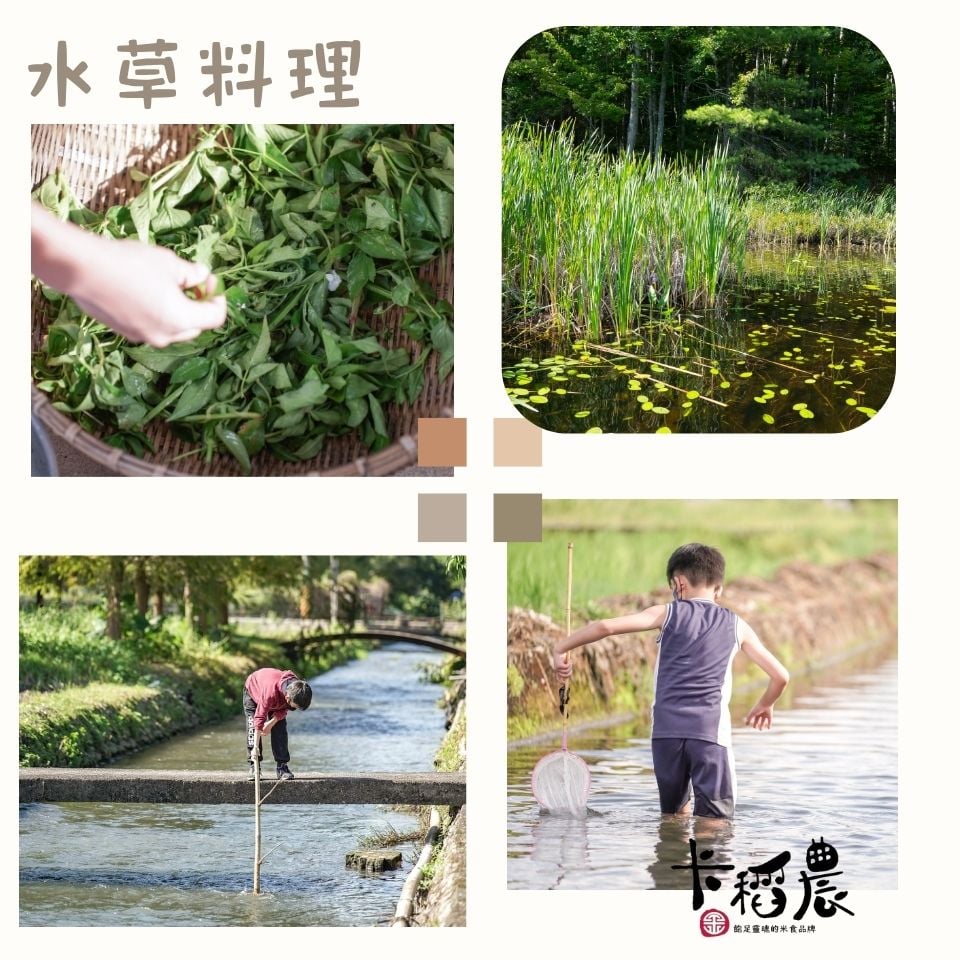 官網四季生態遊程海報 (5)