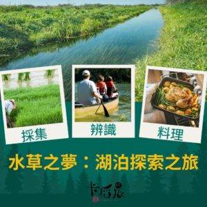 卡稻農體驗遊程-水草之夢：湖泊探索之旅