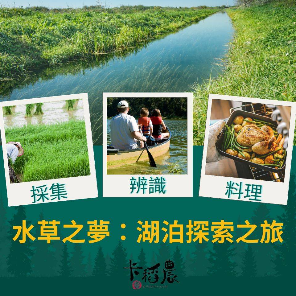卡稻農體驗遊程-水草之夢：湖泊探索之旅