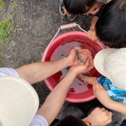 20220502卡稻農淨水廠田區-生態觀察-釣魚體驗活動 (20)