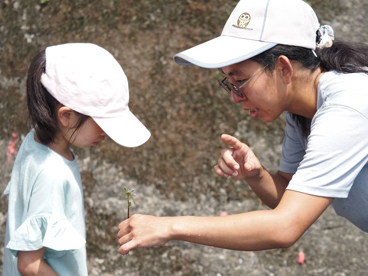 20230624卡稻農淨水廠田區 生態觀察 小葉老師 87