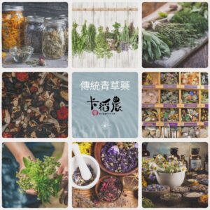 傳統青草藥 1