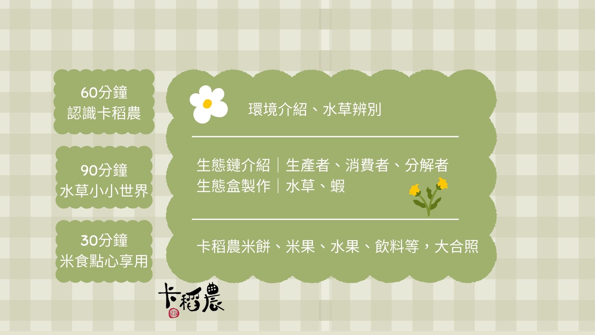 樂高積木ｘ水草生態瓶
