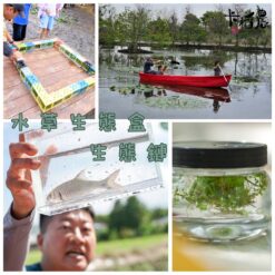 樂高積木ｘ水草生態瓶