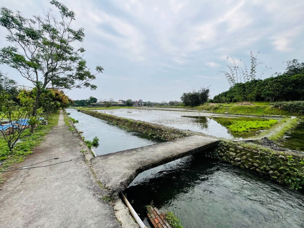 20240315夢想卡稻農基地 (1)2