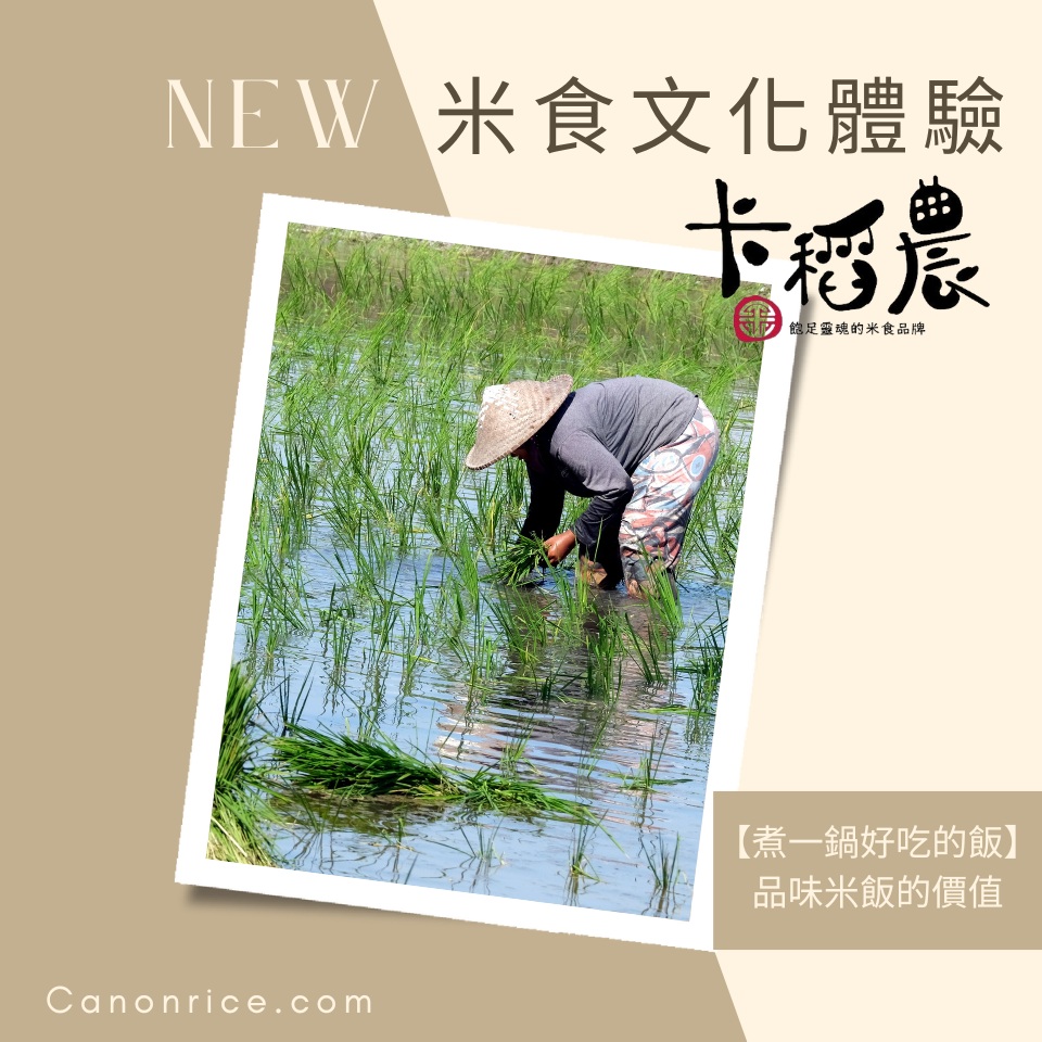 【食農教育|3小時|米食文化體驗】用這種「米」,煮一鍋好吃的飯 6 20250512 卡稻農米食文化體驗遊程 張洧齊製作3