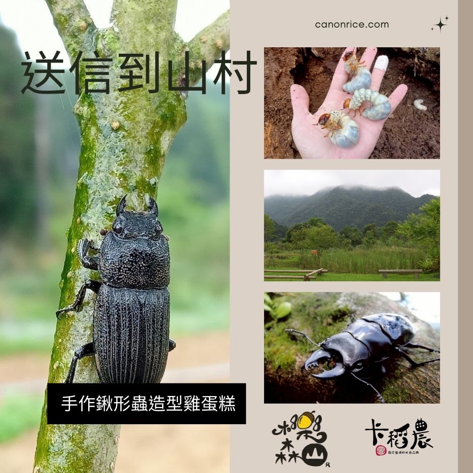 換logo【環境教育｜3小時｜送信到山村】蟲出沒，雞小心：手作鍬形蟲造型雞蛋糕 3