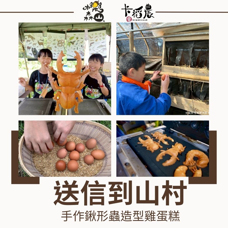 換logo【環境教育｜3小時｜送信到山村】蟲出沒，雞小心：手作鍬形蟲造型雞蛋糕 4