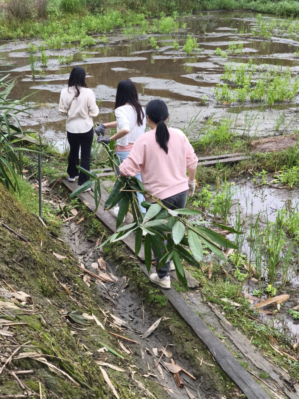 239103 e1767075403685