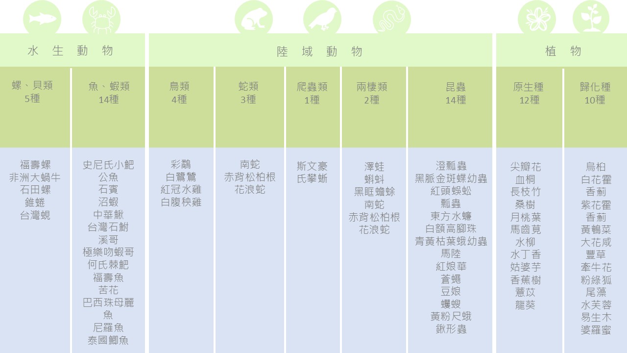 棲地物種調查表