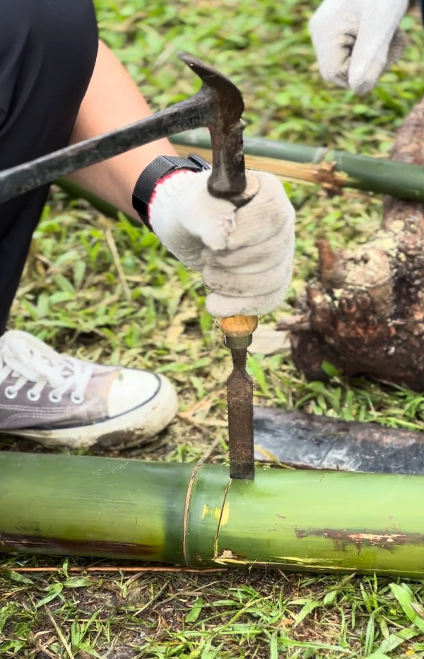 螢幕擷取畫面 2025 12 29 114200