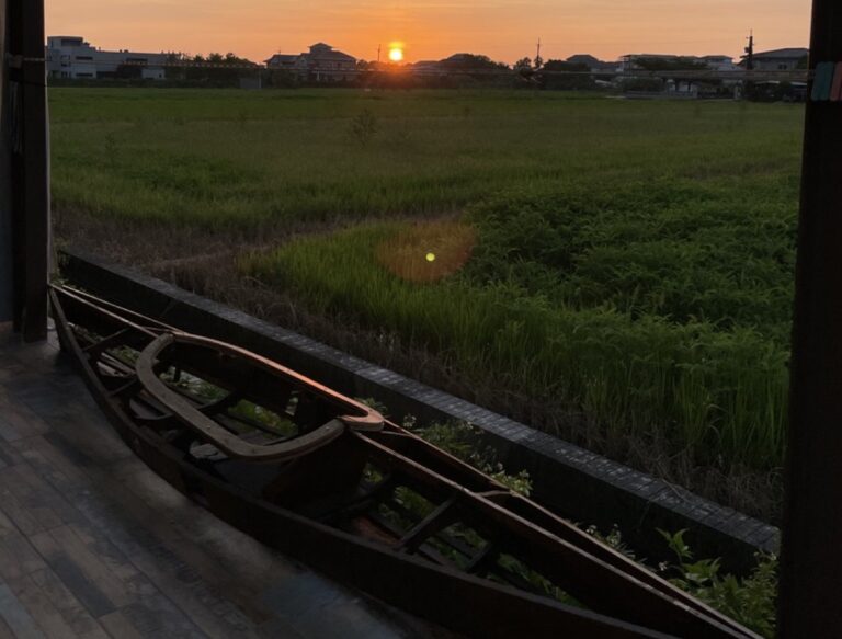 野可以2025介紹與價格 0302.015