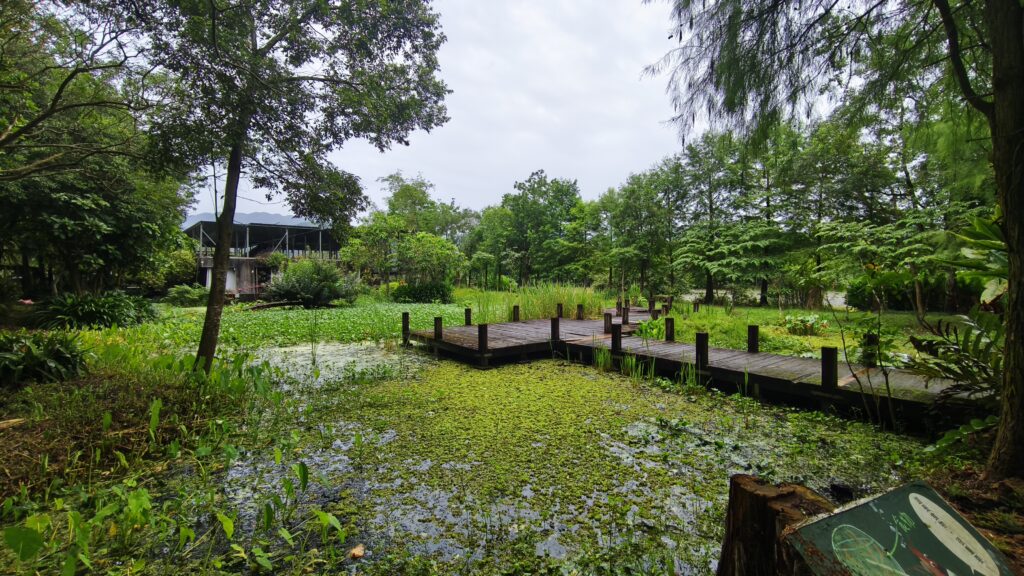 【team building|3小時|傳統青草藥】當吃草成為時尚,何不相約共享? 9 20260615 小生態池遠景 3