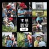 一泊三食羌仔埤-2