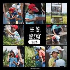 一泊三食羌仔埤-2