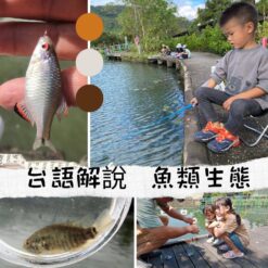 大湖公園-2