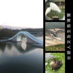大湖公園-3