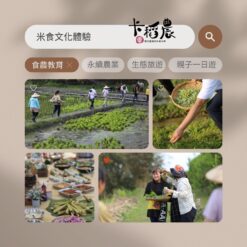 米食文化-2