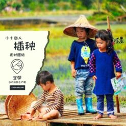 插秧-1