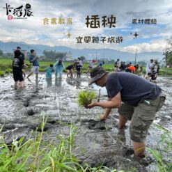 插秧-2