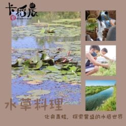 官網四季生態遊程海報 (6)
