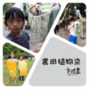 植物染-1
