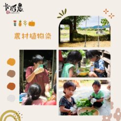 植物染-2