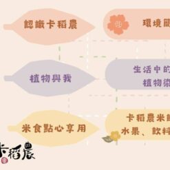 植物染蛋-1