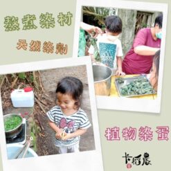 植物染蛋-3