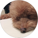 Xuan profile picture